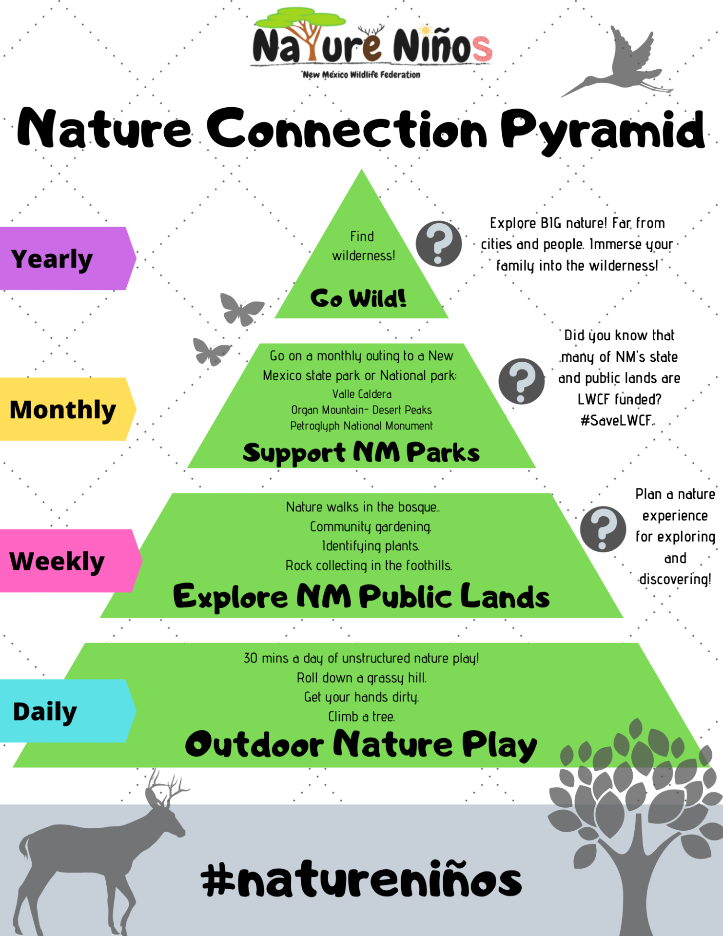 Where do you fit in the nature pyramid? Nature Ninos New Mexico